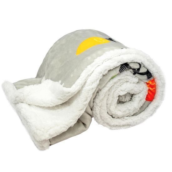 Deka 150 x 200 cm, s beránkem, mikroflanel, 460 GSM