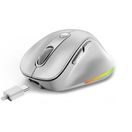 GENIUS ERGO 9000S PRO/ERGONOMICKÁ/OPTICKÁ/PRO PRAVÁKY/2 400 DPI/BEZDRÁTOVÁ USB + BLUETOOTH/BÍLÁ