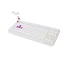 GENESIS HERNÍ KLÁVESNICE THOR 230/TKL/RGB/OUTEMU RED/BEZDRÁTOVÁ USB + BLUETOOTH/US LAYOUT/BÍLÁ