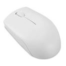 LENOVO 300 WIRELESS COMPACT MOUSE CLOUD GREY+BAT