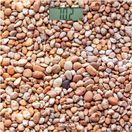 SBS 2302SN OSOBNÍ VÁHA SENCOR