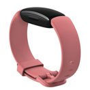 FITBIT INSPIRE 2 DESERT ROSE/BLACK