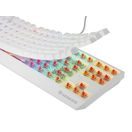 GENESIS HERNÍ KLÁVESNICE THOR 230/TKL/RGB/OUTEMU RED/BEZDRÁTOVÁ USB + BLUETOOTH/US LAYOUT/BÍLÁ