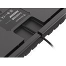 GENESIS MECHANICKÁ HERNÍ KLÁVESNICE THOR 303 TKL, CZ/SK LAYOUT, ČERNÁ, RGB, SW, OUTEMU RED