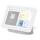 GOOGLE NEST HUB 2 CHALK