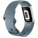 FITBIT CHARGE 5 STEEL BLUE/PLATINUM STAINLESS STEEL