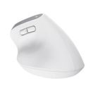 TRUST BAYO+ ERGONOMIC WIRELESS MOUSE WHT