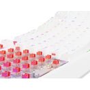 GENESIS HERNÍ KLÁVESNICE THOR 230/TKL/RGB/OUTEMU RED/BEZDRÁTOVÁ USB + BLUETOOTH/US LAYOUT/BÍLÁ
