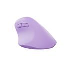 VERTIKÁLNÍ BEZDRÁTOVÁ MYŠ NATEC CRAKE 2, KANCELÁŘS