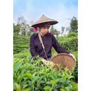 PŘÍCHUŤ 500ML LEDOVÝ ČAJ BROSKEV SODA