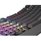 GENESIS HERNÍ MECHANICKÁ KLÁVESNICE THOR 230 TKL