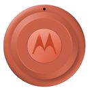 MOTOROLA MOTO TAG 2 PANTONE ARABESQUE