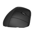 HP 920 ERGONOMIC WIRELESS MOUSE