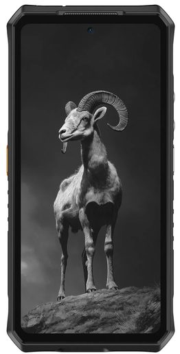 ULEFONE ARMOR 28 PRO 16GB/512GB BLACK