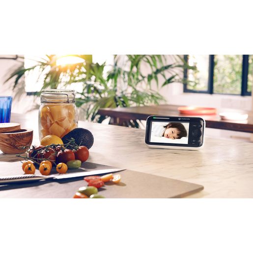 PIP 1610 CONNECT VIDEO CHŮVIČKA MOTOROLA