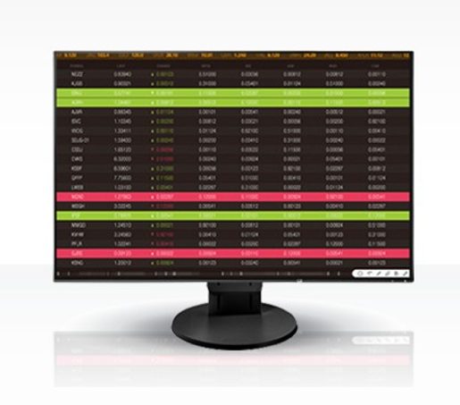 24" LED EIZO EV2456-WUXGA,IPS,DP,USB,PIV,REP,BK