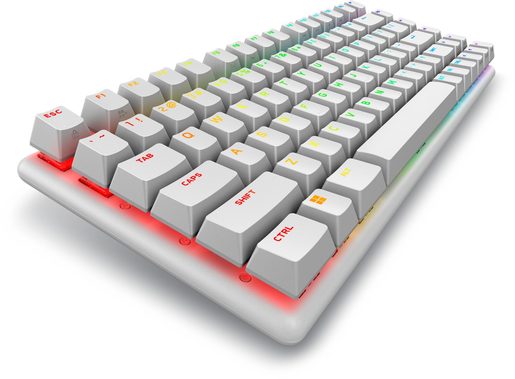 ALIENWARE PRO MECHANICKÁ HERNÍ KLÁVESNICE - BÍLÁ