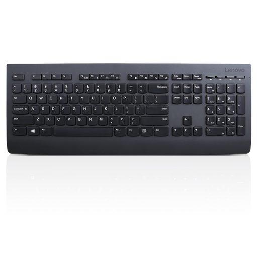 LENOVO PROFESSIONAL WIRELESS KEYBOARD AND MOUSE SK
