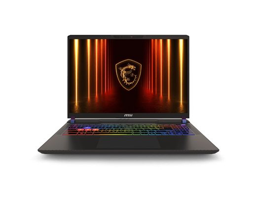 MSI VECTOR/16 HX AI A2XWHG-095CZ/U7-255HX/16"/2560X1600/32GB/1TB SSD/RTX 5070TI/W11H/GRAY/2R