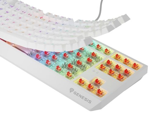 GENESIS HERNÍ KLÁVESNICE THOR 230/TKL/RGB/OUTEMU RED/BEZDRÁTOVÁ USB + BLUETOOTH/US LAYOUT/BÍLÁ