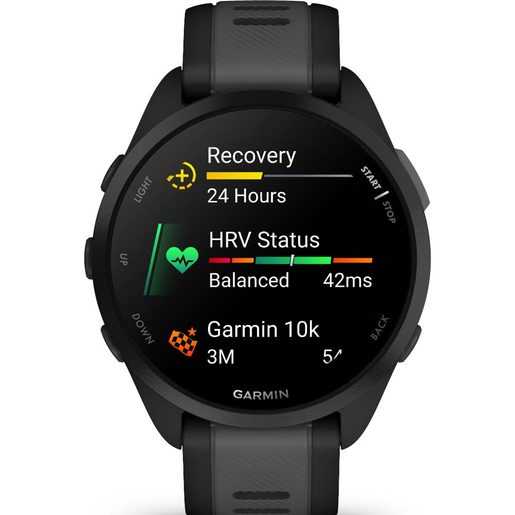 GARMIN FORERUNNER 165 - BLACK / SLATE GRAY (010-02863-20)