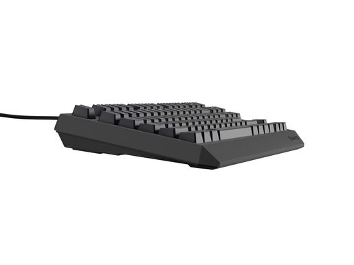 GENESIS HERNÍ KLÁVESNICE THOR 230/TKL/RGB/OUTEMU