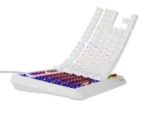 GENESIS HERNÍ MECHANICKÁ KLÁVESNICE THOR 230 TKL