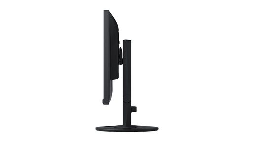 24" LED EIZO EV2460