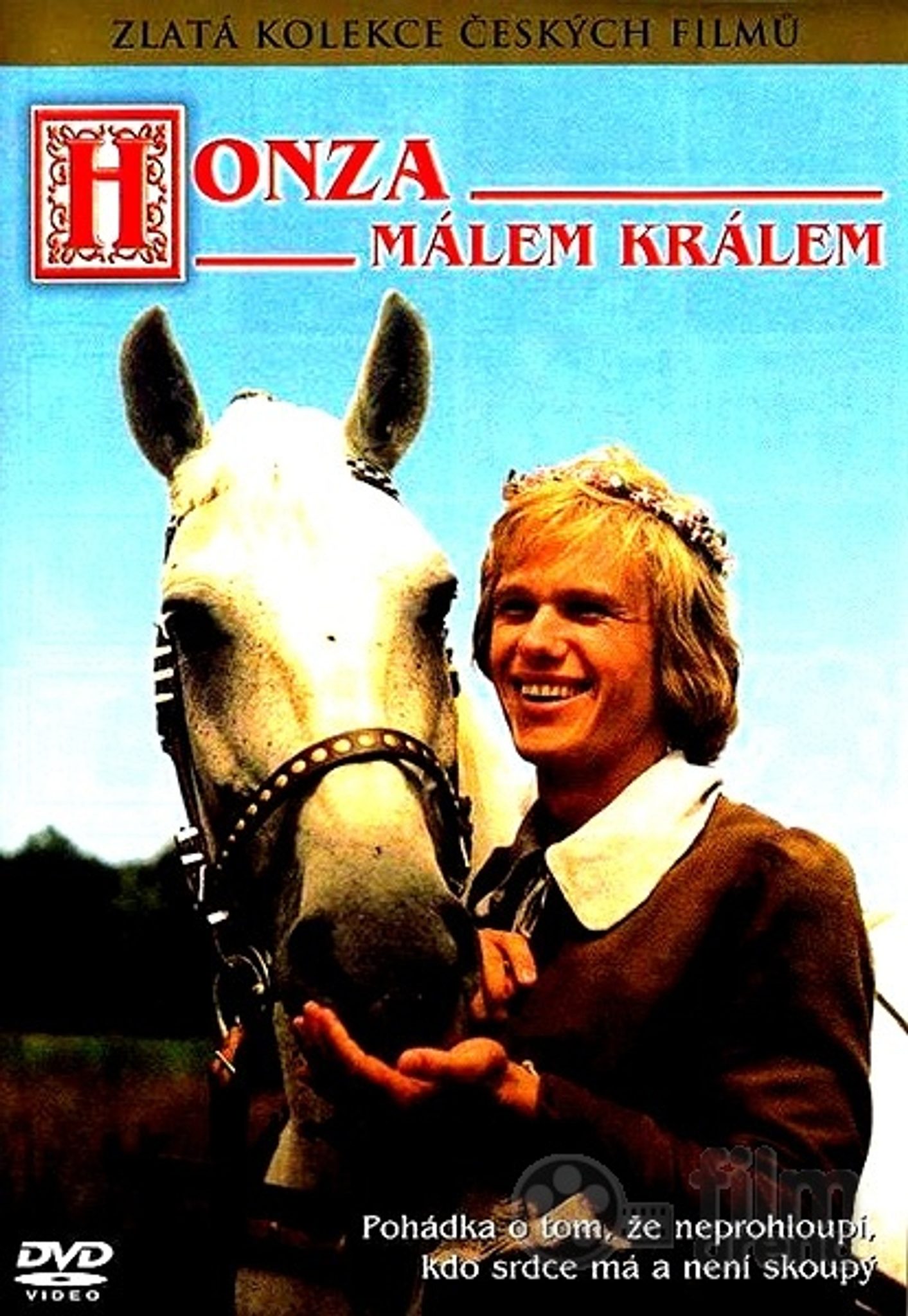 DVD Honza mlem krlem