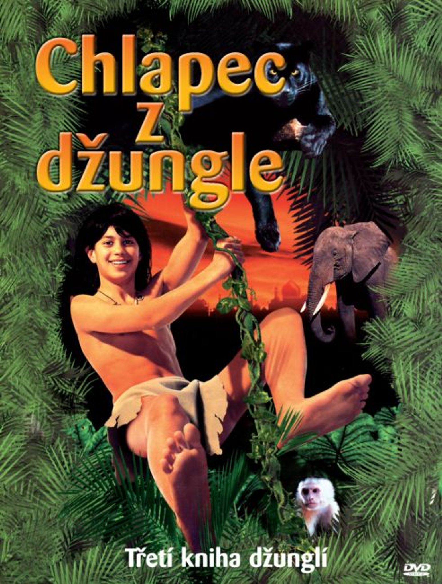 DVD Chlapec z dungle