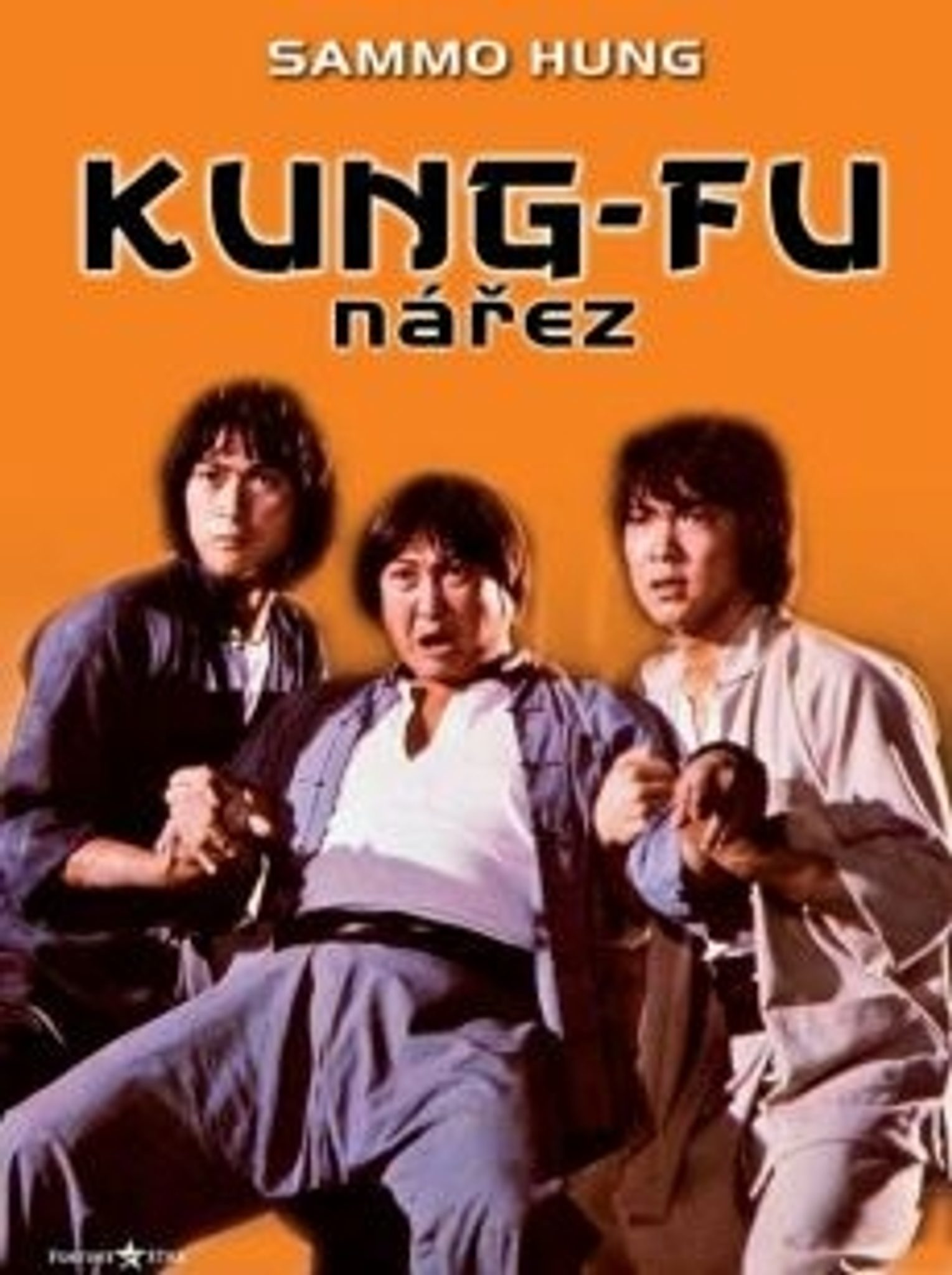 DVD Kung-fu nez