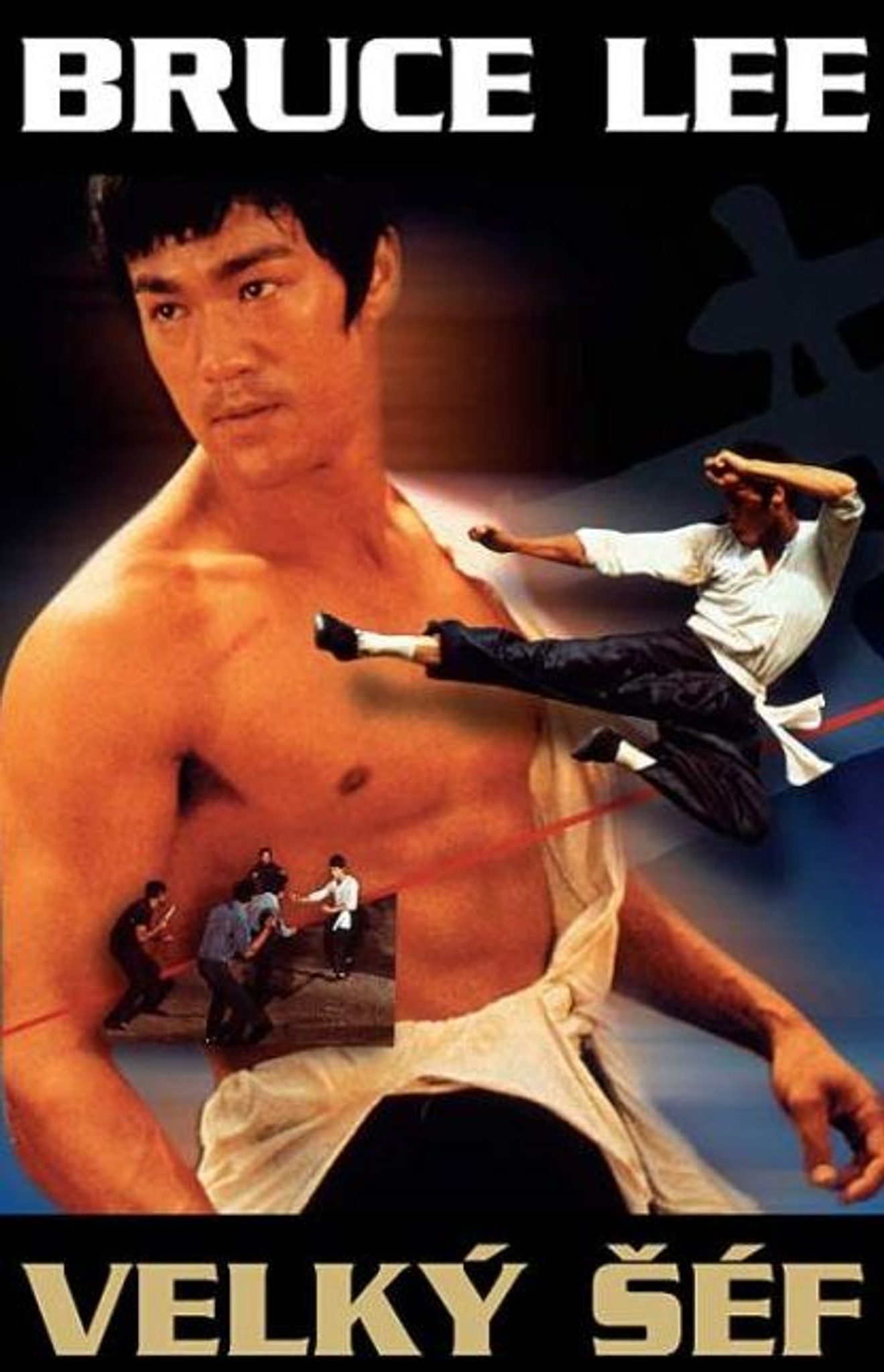 DVD Velk f (Bruce Lee)