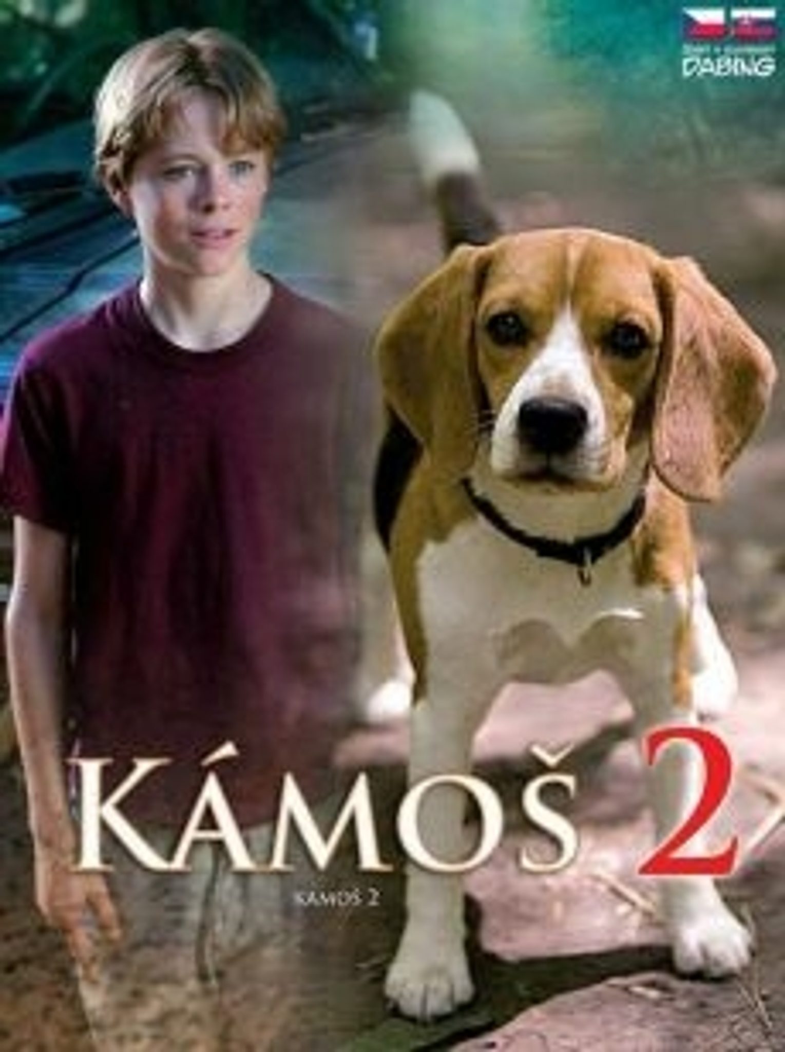 DVD Kámoš 2