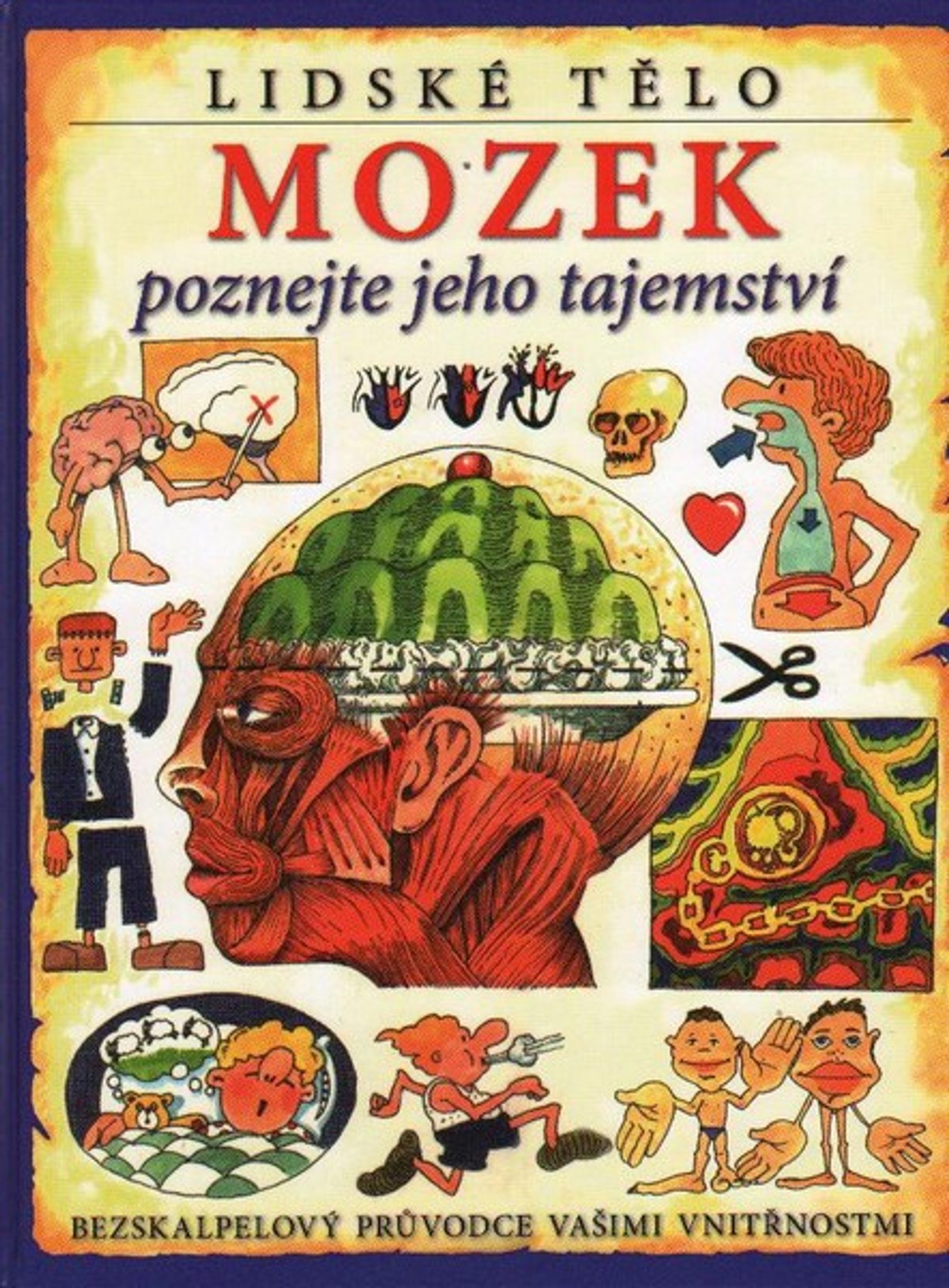 Mozek - poznejte jeho tajemstv - Kliknutm na obrzek zavete