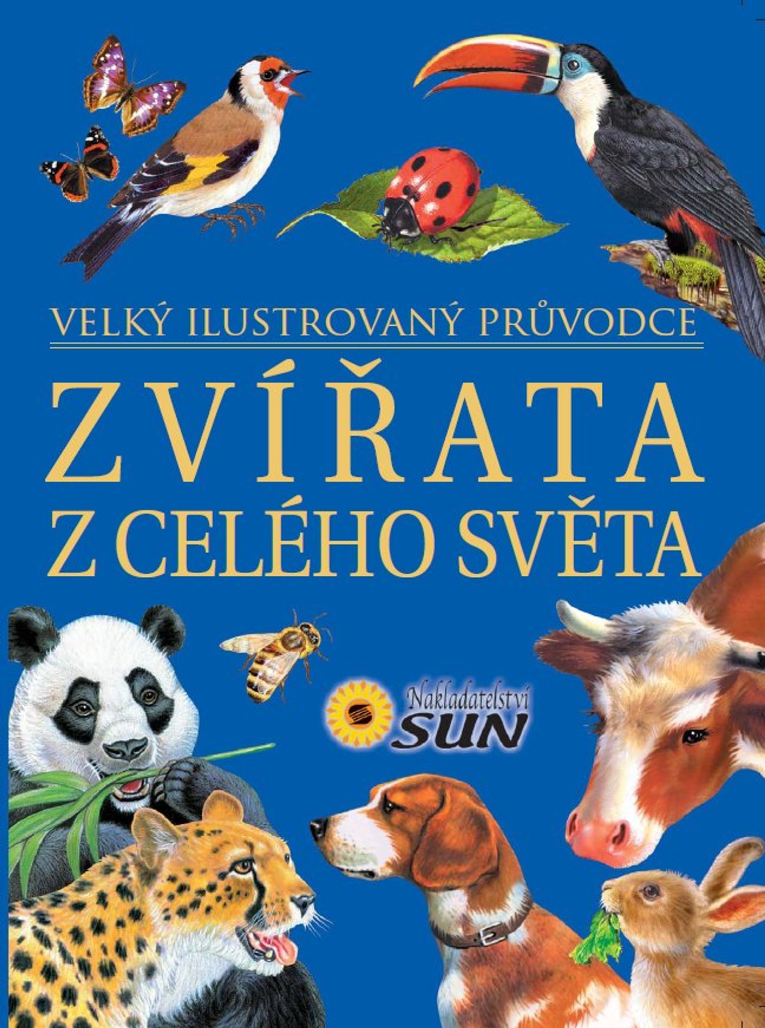 Zvata z celho svta