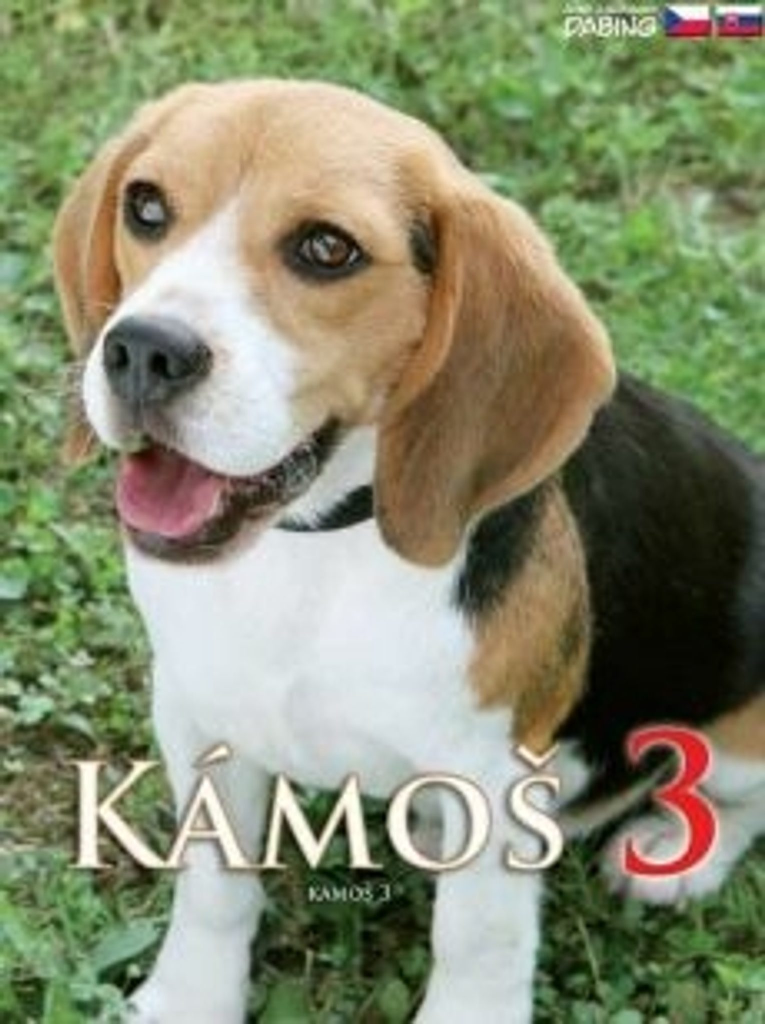 DVD Kmo 3