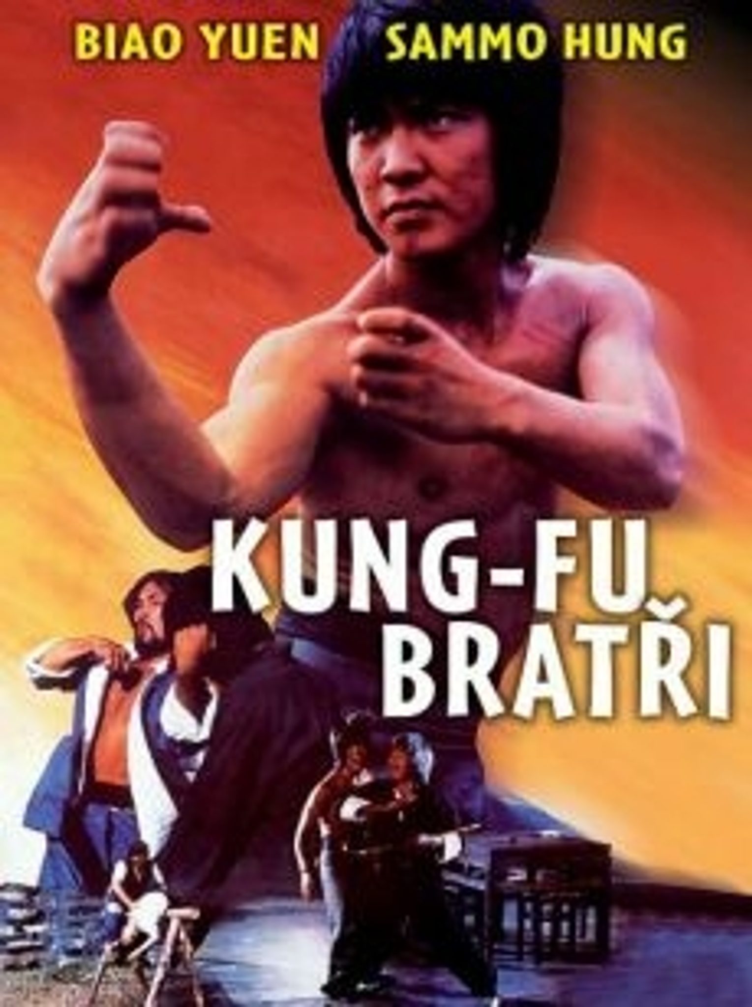 DVD Kung-fu brati