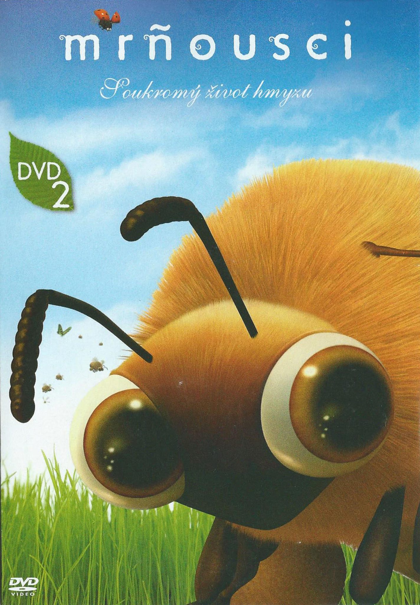 DVD Mrousci 2