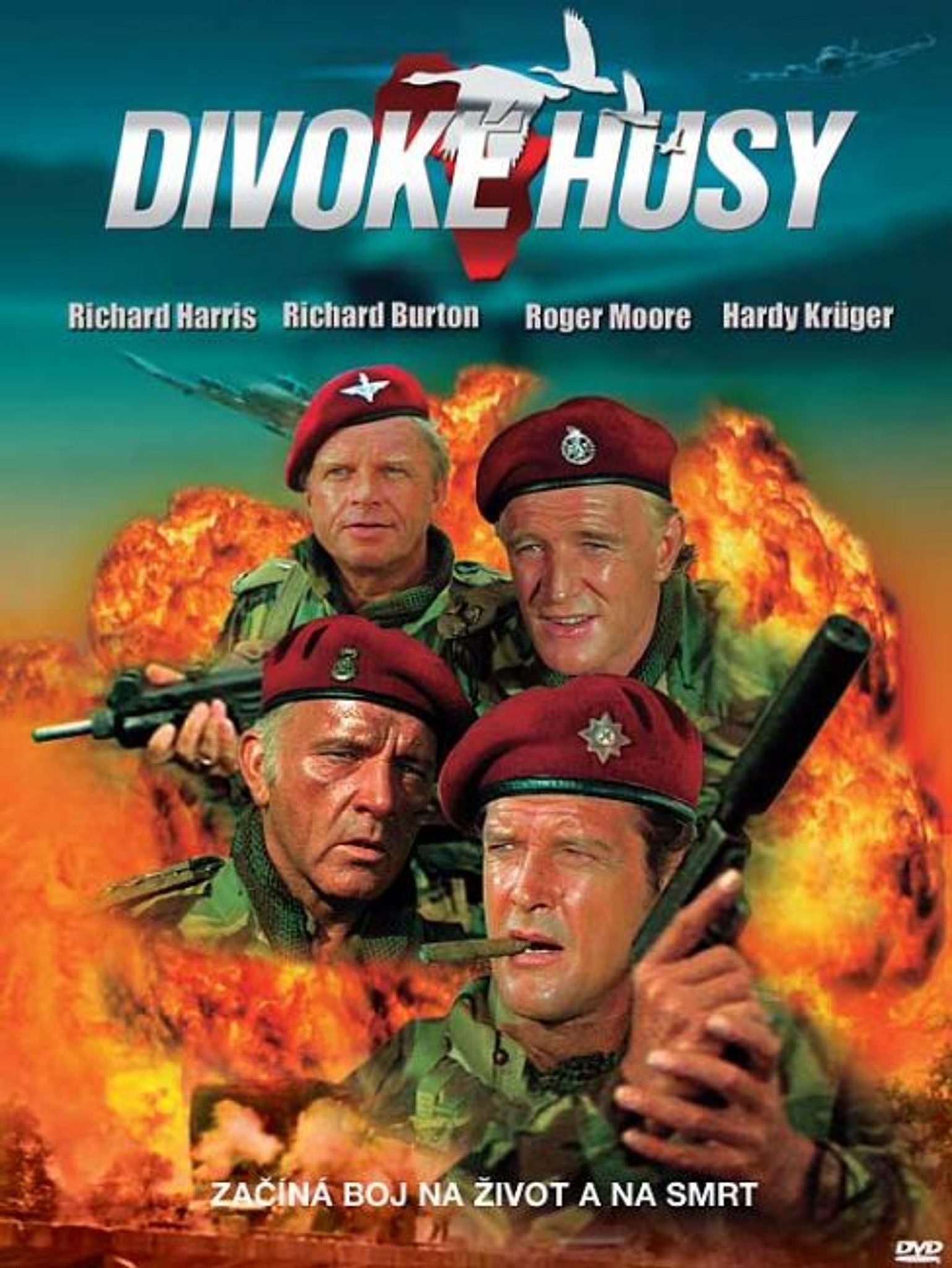 DVD Divoké husy