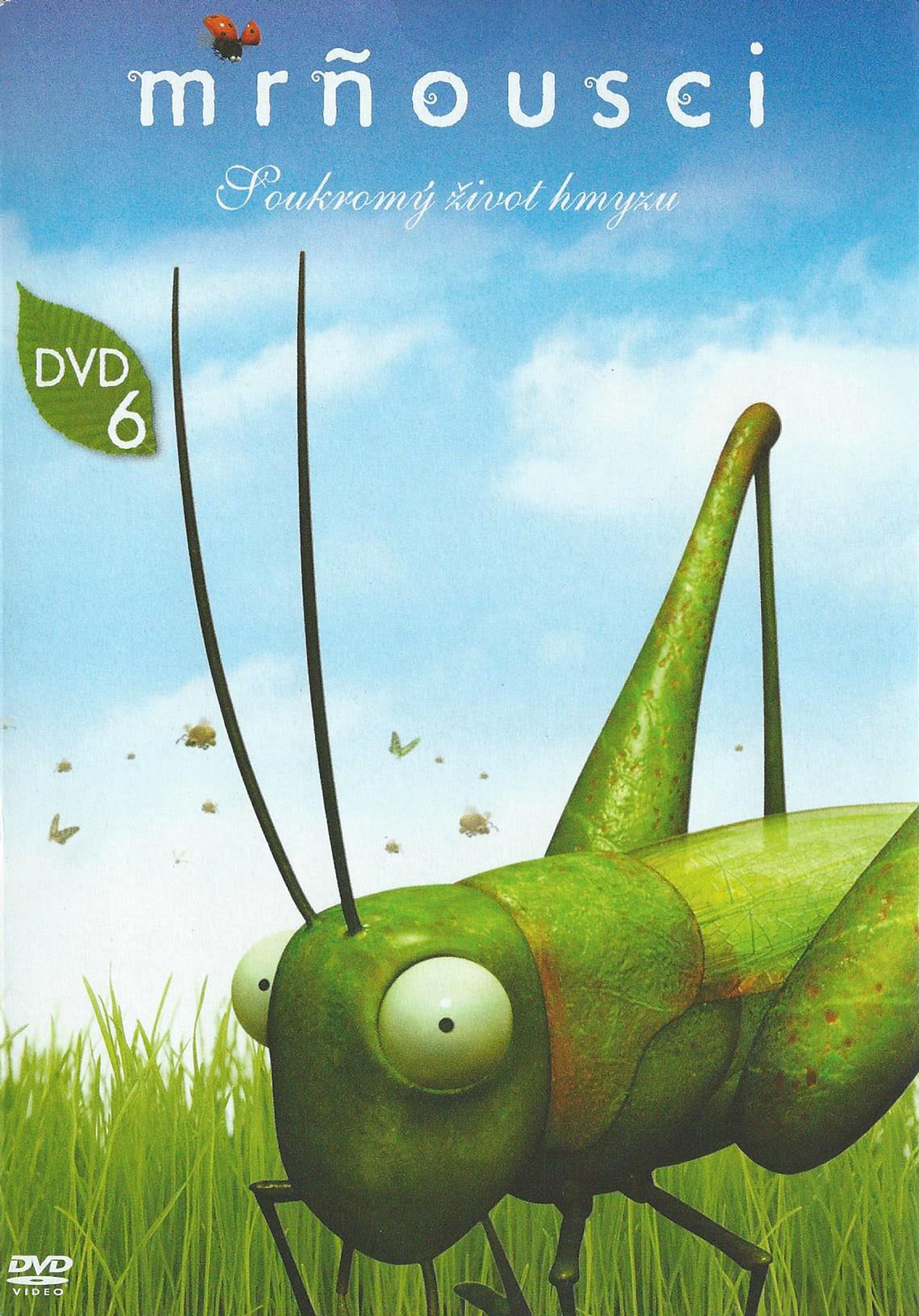 DVD Mrousci 6