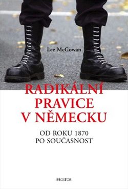 Radikální pravice v Německu