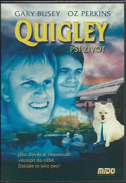 DVD Quigley: psí život