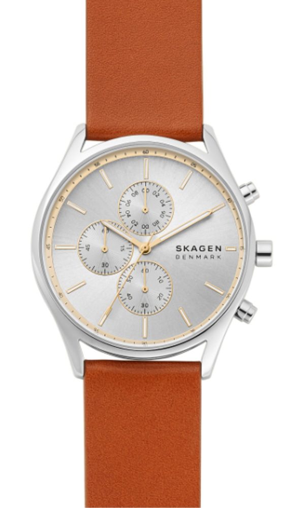 Obrázok Skagen SKW6607