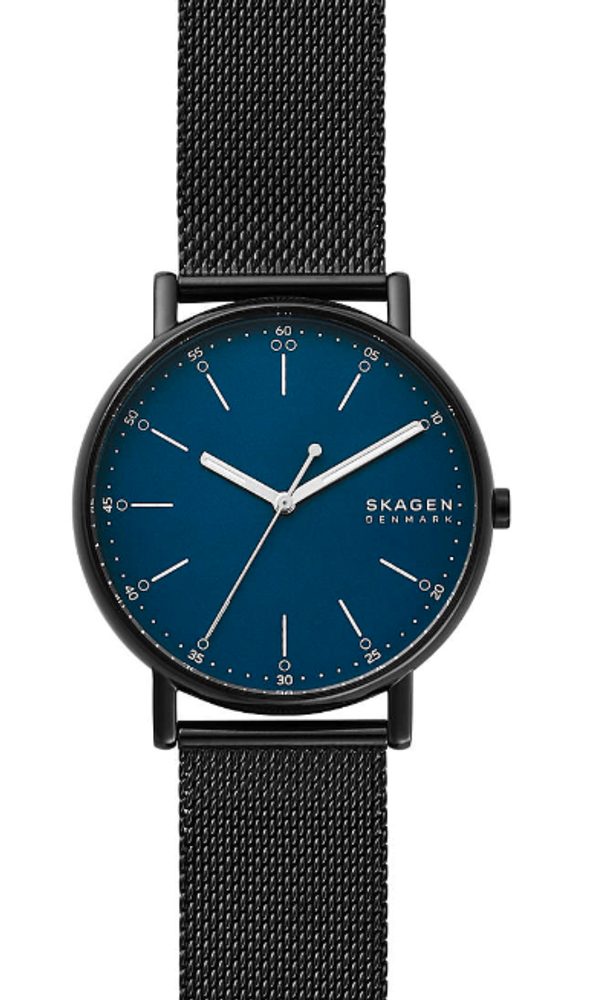 Obrázok Skagen SKW6655