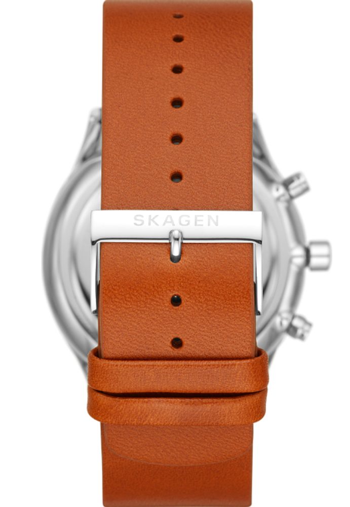 Obrázok Skagen SKW6607