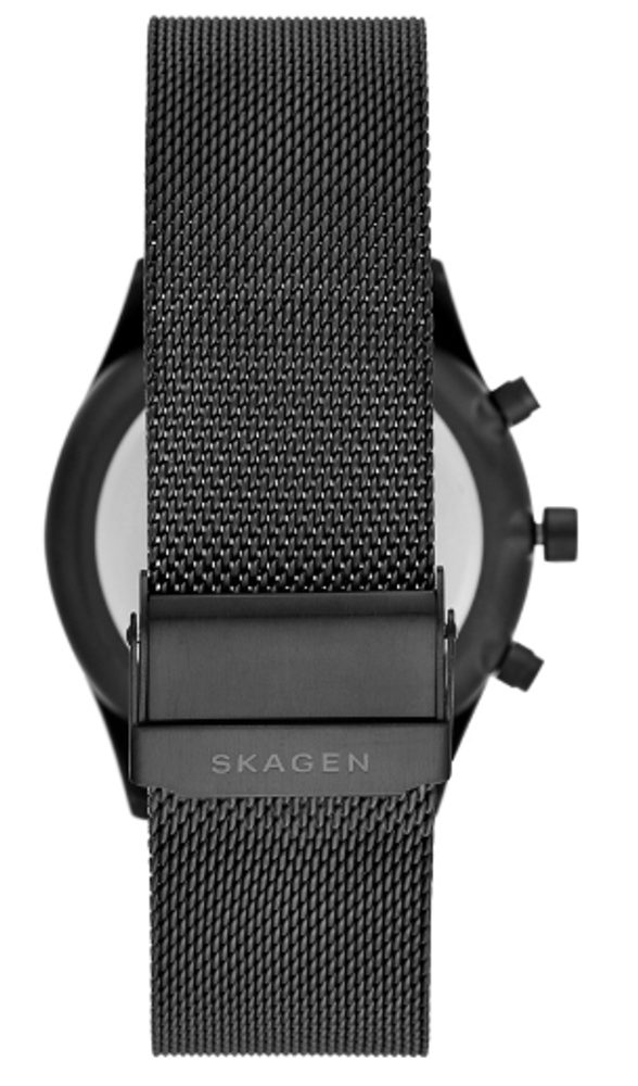 Obrázok Skagen SKW6651