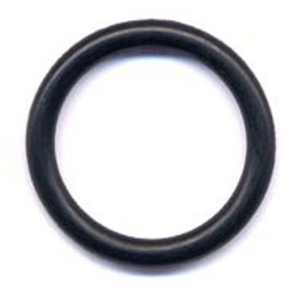 FUEL BOTTLE STV PMP O-RNG