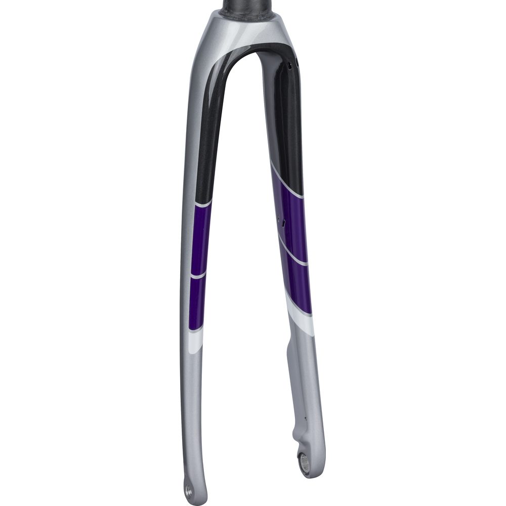 Domane SL5 Disc Women 56cm Quicksilver/Black 355mm, 48mm