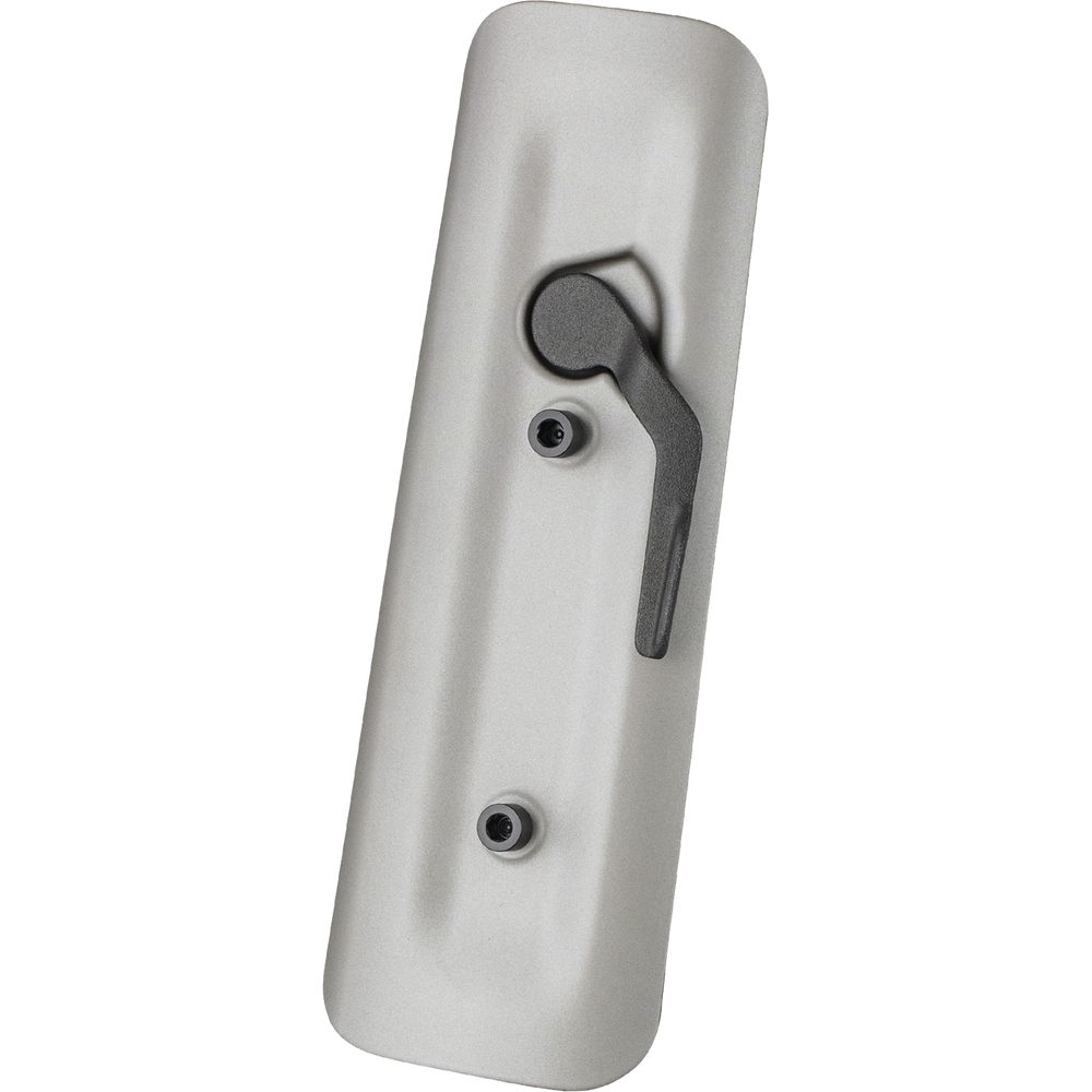 Checkpoint SL5 Downtube Cover Satin Mercury