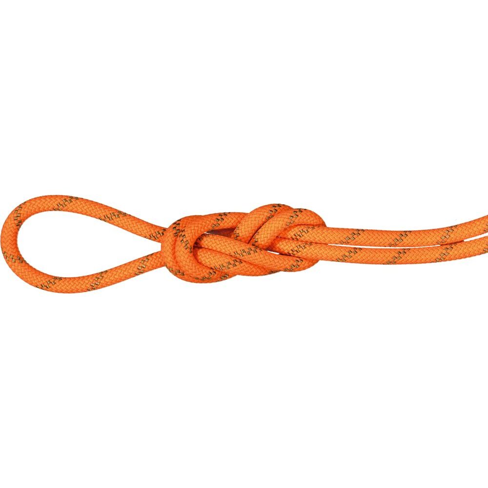 8.0 Alpine Dry Rope 60m vibrant orange-boa